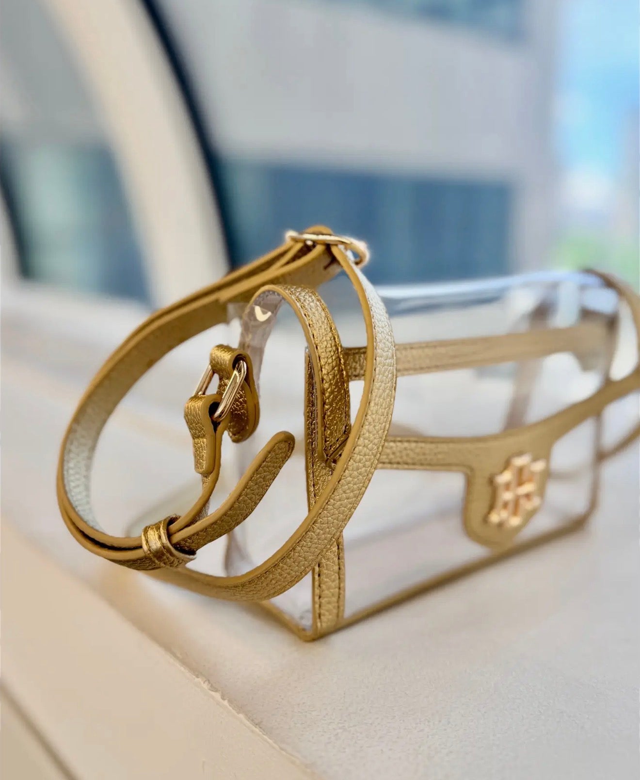 Caroline Hill Gold Clear Purse